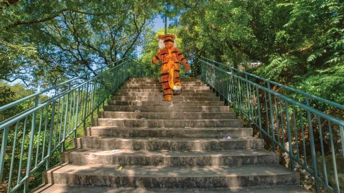 Leeroy goes up the steps of Cardiac Hill