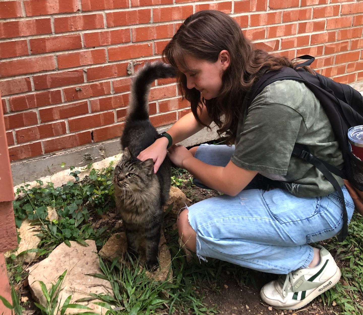 Photo of 猫联盟 friend Maggie with cat named 霏欧纳_2022